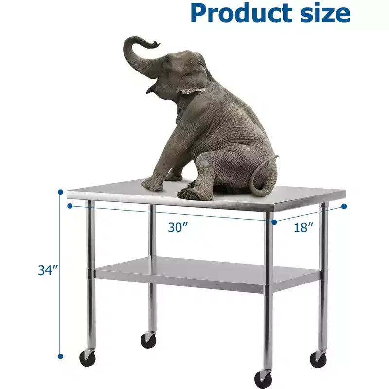 Table de travail en acier inoxydable avec étagère inférieure réglable