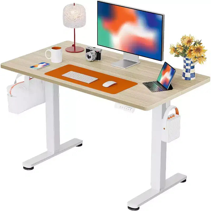 ErGear 44 X 24 Inches Electric Standing Desk, Height Adjustable Stand up Desk, Sit Stand Home Office Desk, Ideal for homes, offices